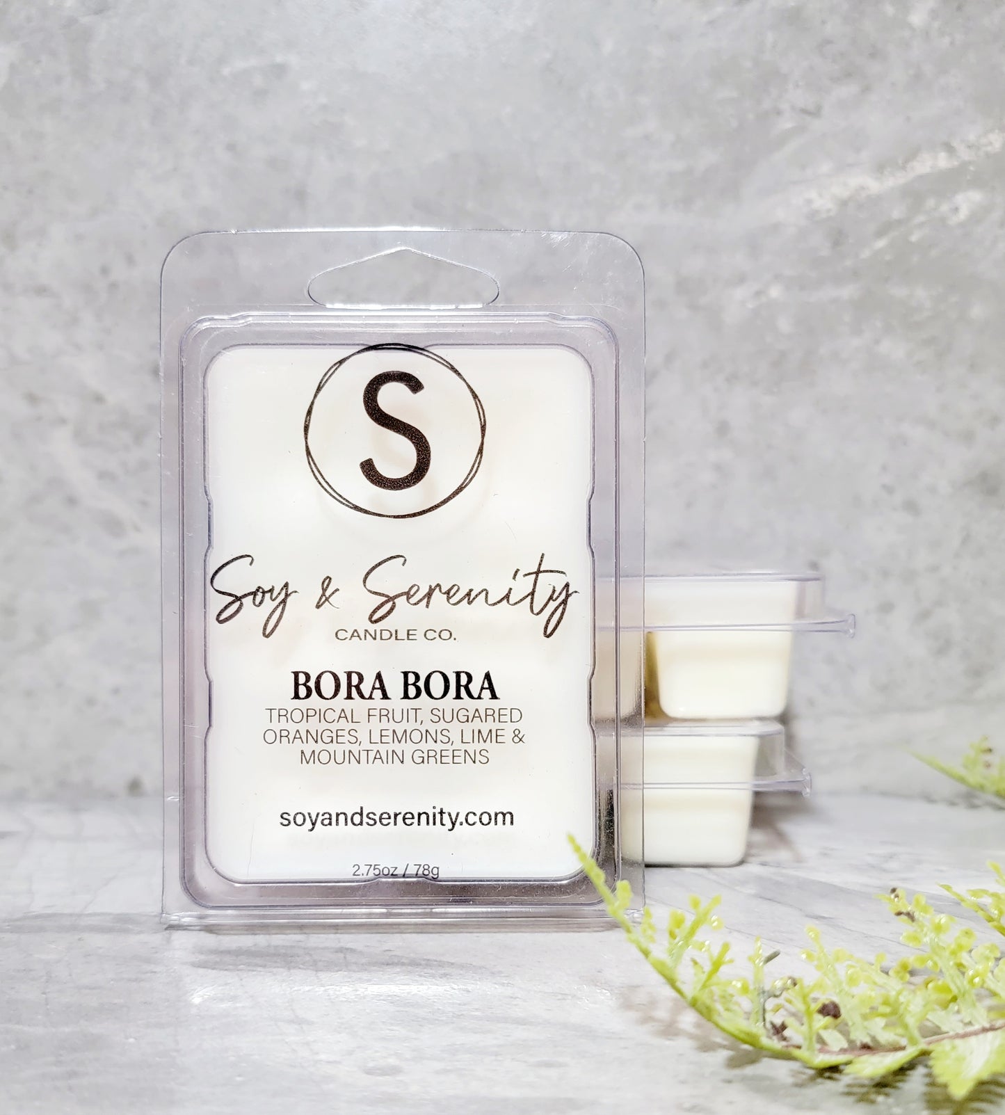 Bora Bora Wax Melt